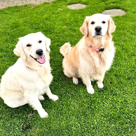 Pansiyon 30 Minutes To Centre