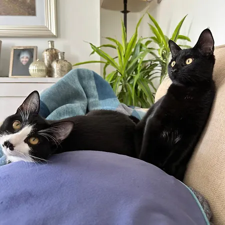 30 Minutes To Centre Δωμάτια σε οικογενειακή κατοικία