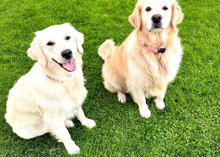 Kwatera prywatna 30 Minutes To Centre