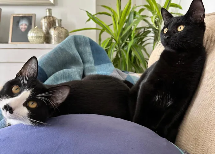 30 Minutes To Centre Kwatera prywatna